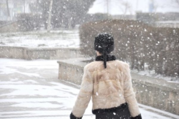 Frig şi ninsoare în Dobrogea